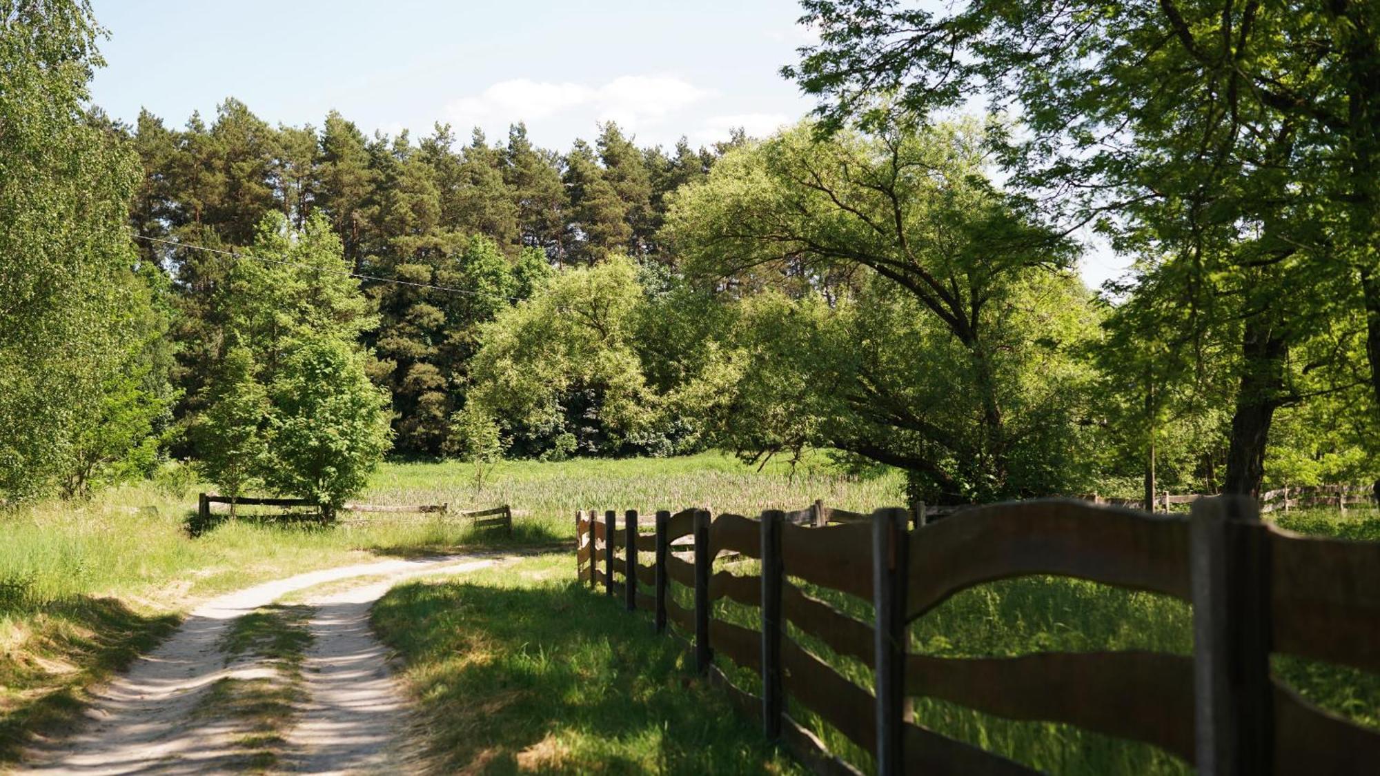 Domki Nad Pilica Krzetow Экстерьер фото